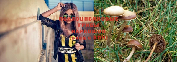 стаф Коряжма