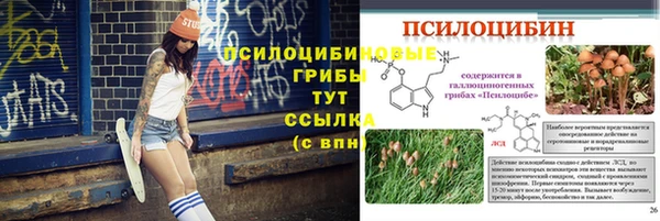 стафф Мурманск