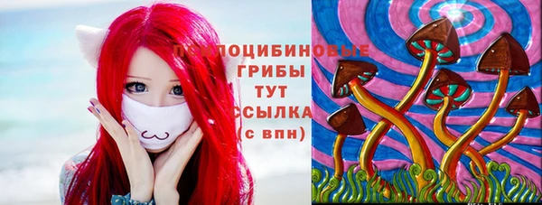 ALPHA PVP Краснослободск