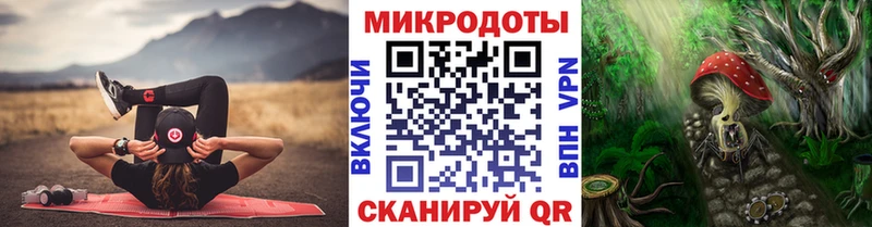гидра как зайти  где найти   Фатеж  Псилоцибиновые грибы Psilocybine cubensis 
