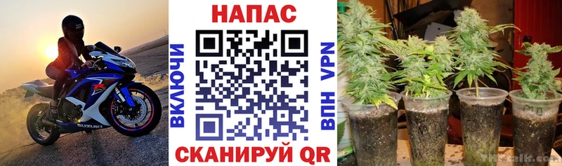 цена Фатеж Конопля LSD WEED